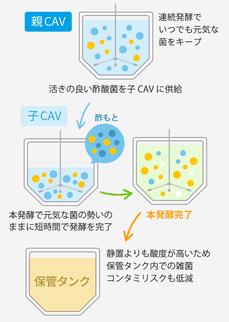 衛星キャビ発酵(深部発酵)