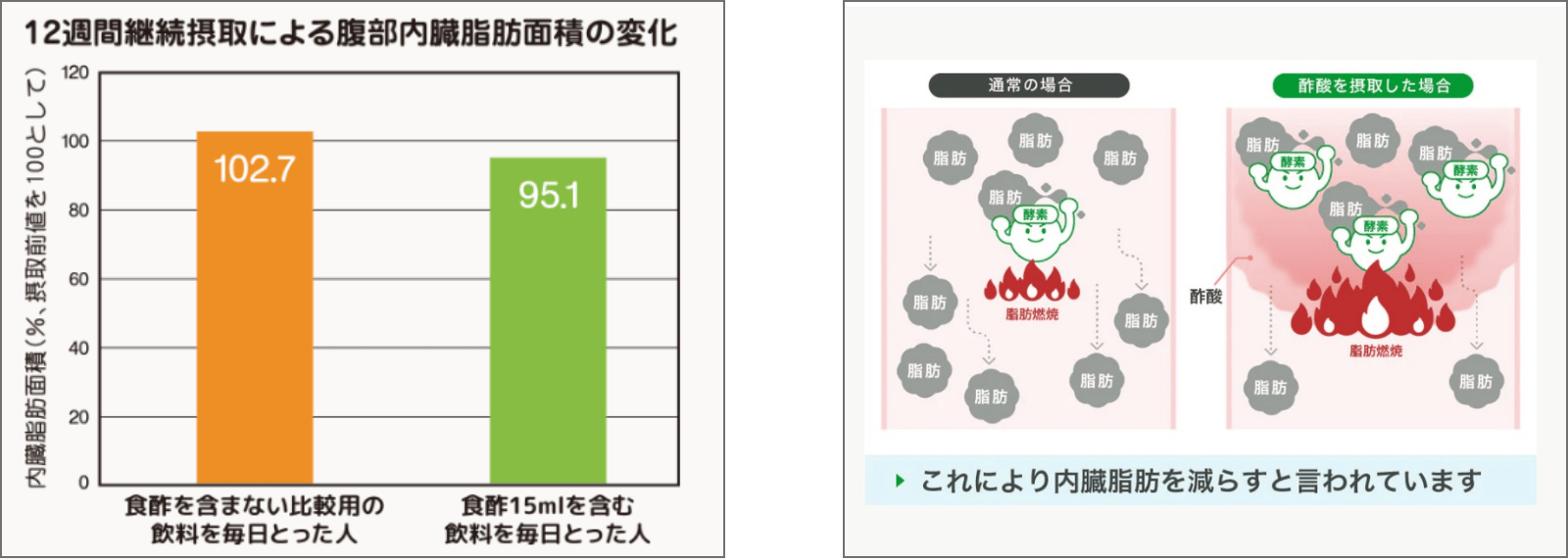 脂肪の代謝を助ける