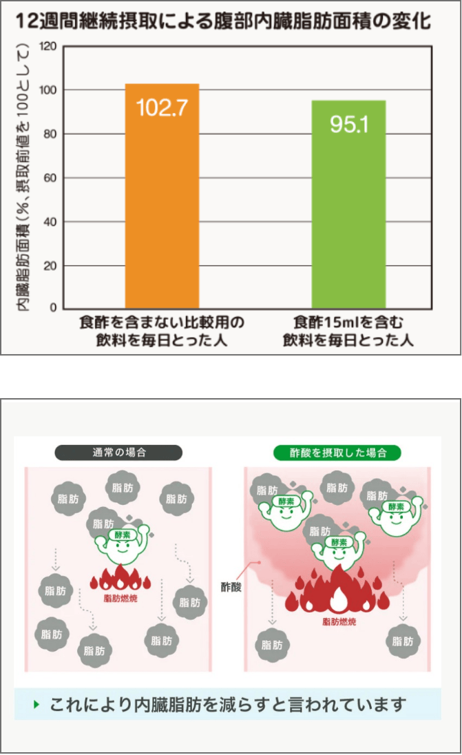 脂肪の代謝を助ける