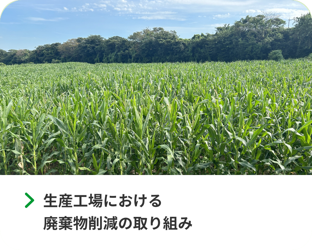 取り組み
