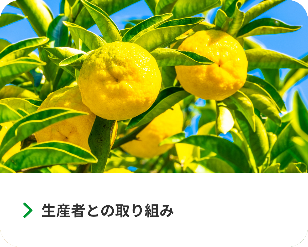 生産者との取り組み