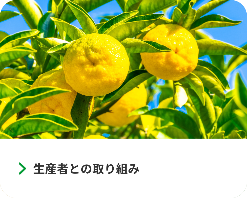 生産者との取り組み