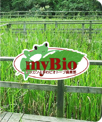 気候変動への対応