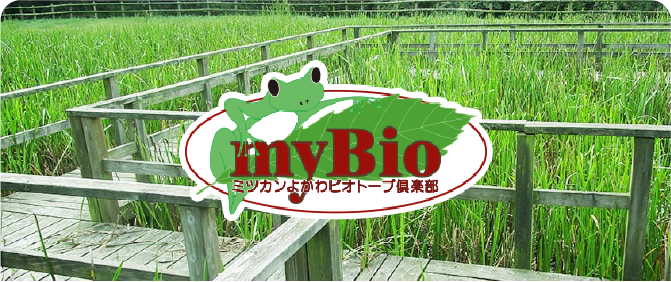 気候変動への対応