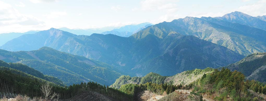 「山林の育成」の取り組み