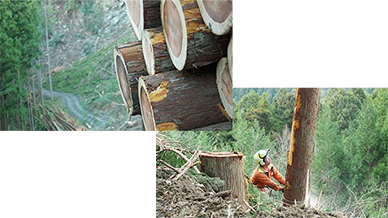 山林育成の意義