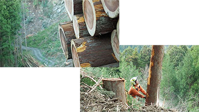 山林育成の意義