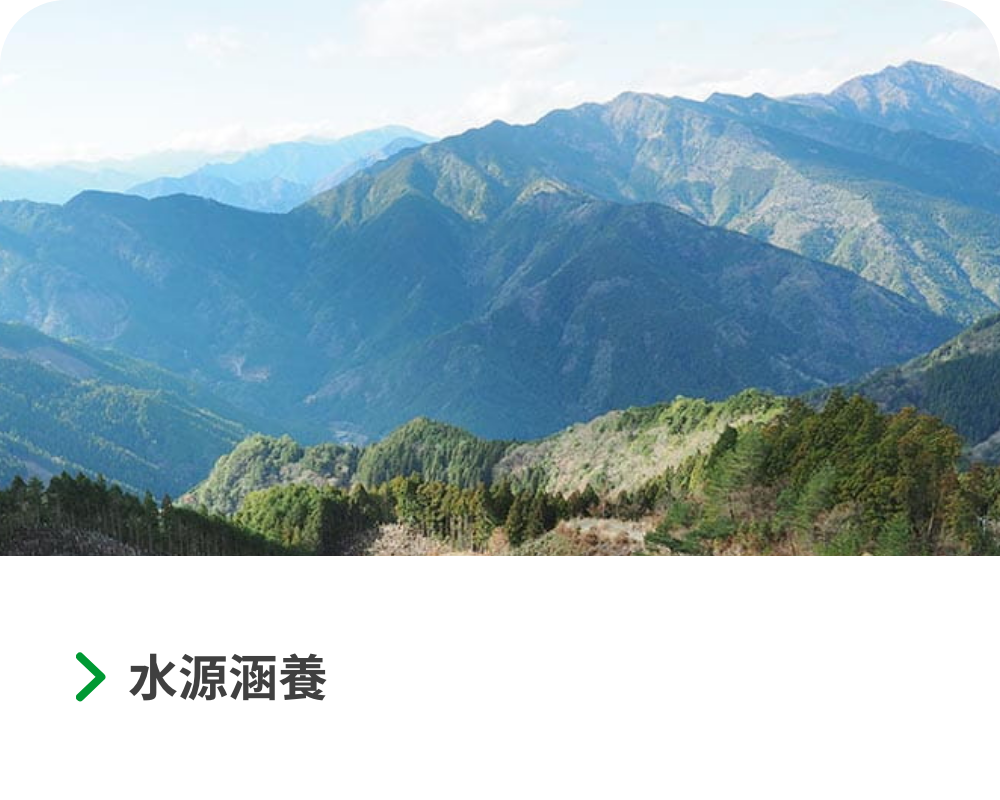 取り組み
