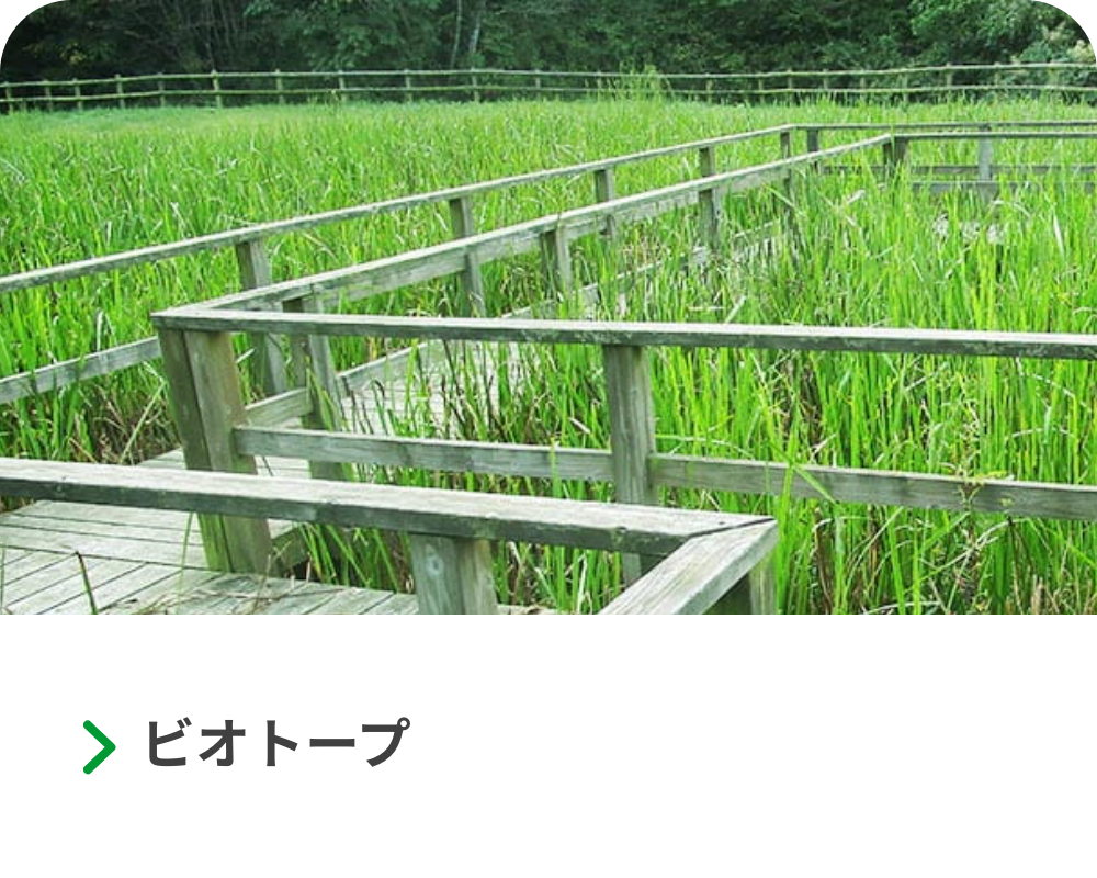 ビオトープの取り組み
